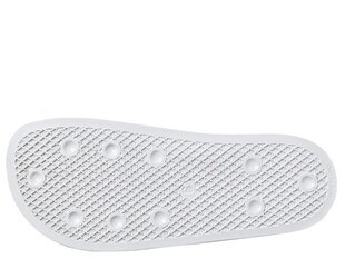 Pludmales čības adidas performance adilette w ee4851 cena un informācija | Iešļūcenes, čības sievietēm | 220.lv