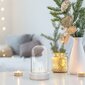 Ziemassvētku LED dekorācijas DecoKing cena un informācija | Ziemassvētku dekorācijas | 220.lv