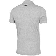 Vīriešu T-krekls 4F Gaiši pelēks H4L22 TSM355 27M cena un informācija | 4F Vīriešu apģērbs | 220.lv
