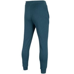Мужские брюки 4F джинсовые H4L22 SPMD350 32S цена и информация | Мужская спортивная одежда | 220.lv