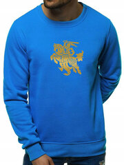 Blue jumper Vytis 2001-10-48519-XL cena un informācija | Vīriešu jakas | 220.lv