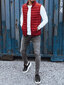 Mamor sarkana stepēta veste vīriešiem TX4125-48627-XXL cena un informācija | Vīriešu vestes | 220.lv