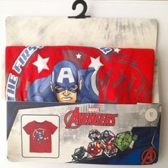 Детская футболка Avengers цена и информация | Рубашки для мальчиков | 220.lv