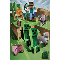 Плед для детей Minecraft, 100x150cm цена и информация | Покрывала, пледы | 220.lv