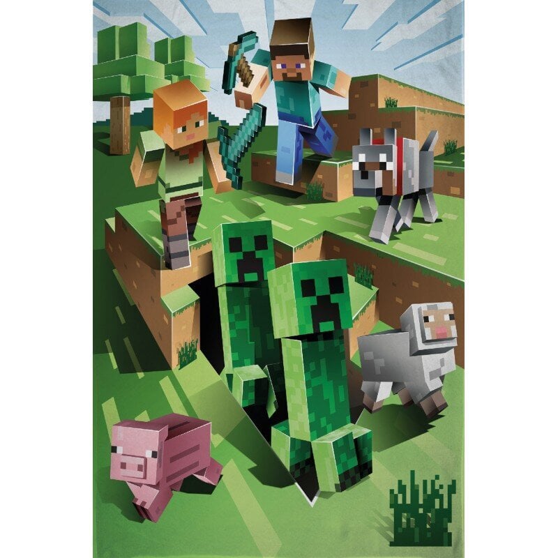 Bērnu pleds Minecraft, 100x150cm cena un informācija | Gultas pārklāji, pledi | 220.lv