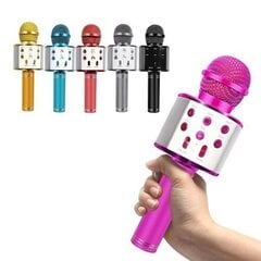 Karaoke mikrofons ar korpusu, rozā цена и информация | Микрофоны | 220.lv