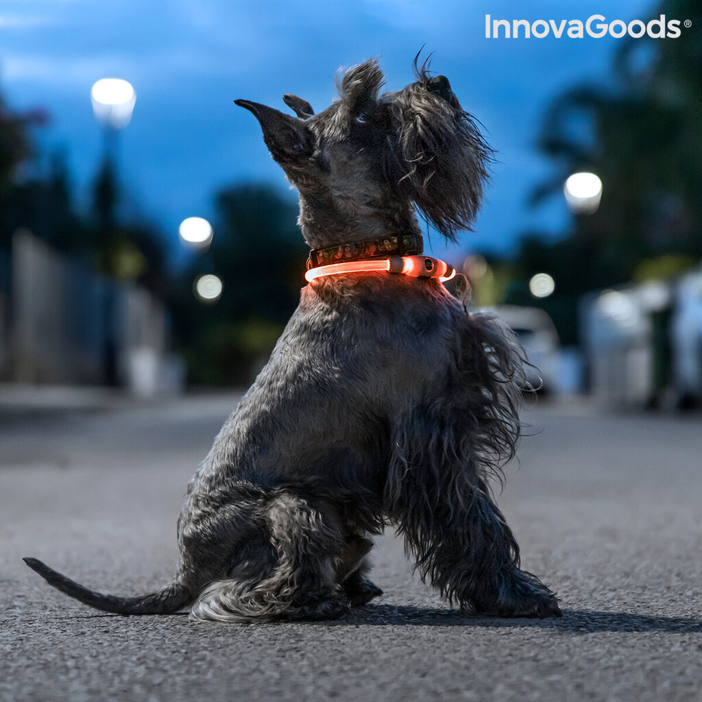 LED mājdzīvnieku kaklasiksna Petlux InnovaGoods цена и информация | Apkakles, siksnas suņiem | 220.lv