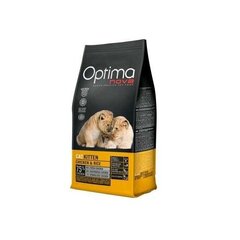 OPTIMA nova Cat Kitten sausā barība kaķiem līdz 1 gadam 8kg cena un informācija | Sausā barība kaķiem | 220.lv