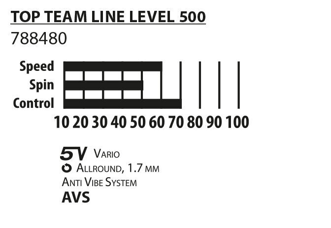 Galda tenisa komplekts Donic-Schildkrot Team 500 cena un informācija | Galda tenisa raketes, somas un komplekti | 220.lv