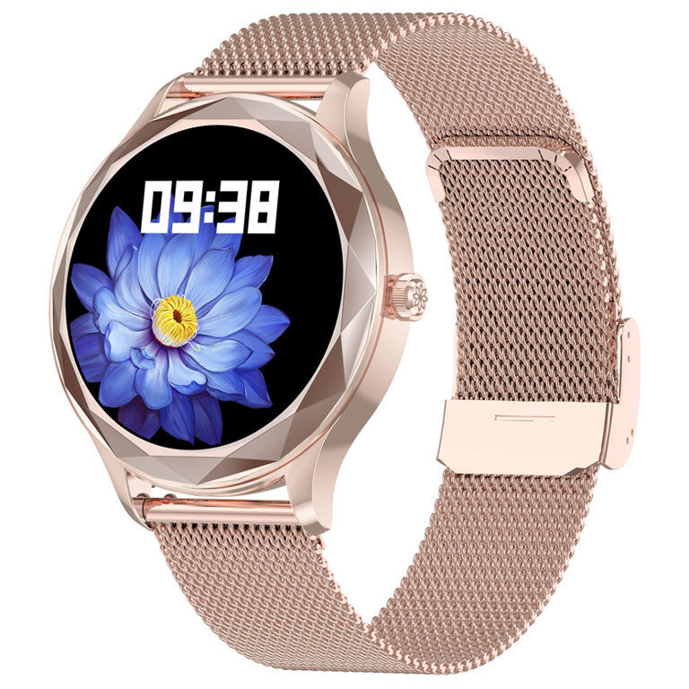 Pacific 27 Steel Rose Gold cena un informācija | Viedpulksteņi (smartwatch) | 220.lv