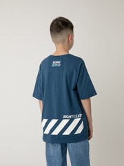 Футболка синяя с принтом для мальчиков Gulliver цена и информация | Рубашки для мальчиков | 220.lv