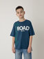 T-krekls zils ar apdruku zēniem Gulliver cena un informācija | Zēnu krekli | 220.lv