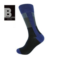 Мужские классические носки Bisoks 12325 синие цена и информация | Мужские носки | 220.lv