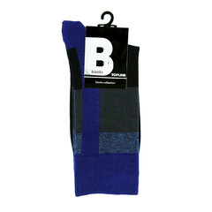 Мужские классические носки Bisoks 12325 синие цена и информация | Мужские носки | 220.lv