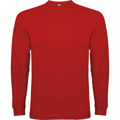 T-krekls POINTER sarkans цена и информация | Мужские футболки | 220.lv
