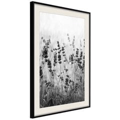 Plakāts Shadow of Meadow, melns rāmis ar pasi cena un informācija | Gleznas | 220.lv