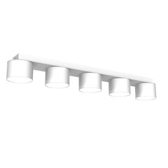 Настенный светильник DIXIE WHITE 1xGX53 цена и информация | Потолочные светильники | 220.lv
