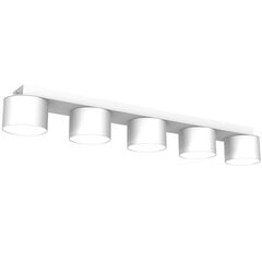 Настенный светильник DIXIE WHITE 1xGX53 цена и информация | Потолочные светильники | 220.lv