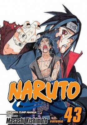 Naruto, Vol. 43: The Man With The Truth, V. 43 cena un informācija | Svešvalodu mācību materiāli | 220.lv