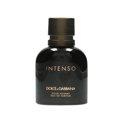 Dolce Gabbana Pour Homme EDP Intenso 40ml cena un informācija | Vīriešu smaržas | 220.lv