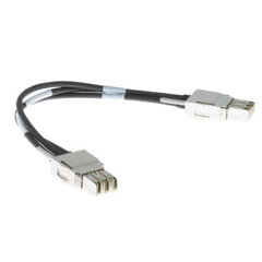 Жесткий сетевой кабель UTP кат. 6 Cisco Stack-T1 цена и информация | Кабели и провода | 220.lv