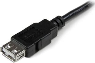 StarTech USBEXTAA6IN, USB-A, 0,15 м цена и информация | Кабели для телефонов | 220.lv