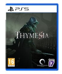 Thymesia Playstation 5 PS5 spēle цена и информация | Компьютерные игры | 220.lv