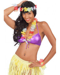 Havaju komplekts krāsā цена и информация | Карнавальные костюмы, парики и маски | 220.lv