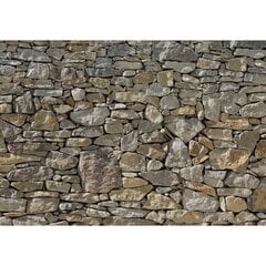 Fototapete Stone Wall 368 x 254 cm cena un informācija | Fototapetes | 220.lv