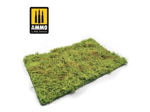 AMMO MIG - Wilderness Fields with bushes - Spring, 8362 cena un informācija | Modelēšanas un zīmēšanas piederumi | 220.lv