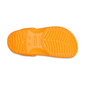Crocs™ Classic bērnu 166147 cena un informācija | Bērnu čības, maiņas apavi | 220.lv