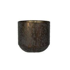 Металлический горшок Lian 15 x 16(В) см, круглый, коричневый цена и информация | Вазоны | 220.lv