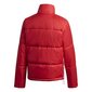 Jaka adidas originals short puffer gk8556 cena un informācija | Sieviešu virsjakas | 220.lv