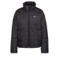 Jaka adidas originals short puffer gk8554 cena un informācija | Sieviešu virsjakas | 220.lv