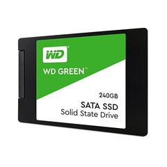 SSD накопитель Western Digital, WDS240G2G0A цена и информация | Внутренние жёсткие диски (HDD, SSD, Hybrid) | 220.lv