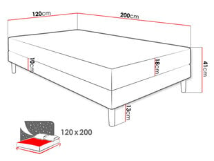 Gulta Moriba 120x200cm, melna цена и информация | Кровати | 220.lv