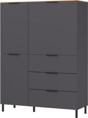 Шкаф California 1470, темно-серый/коричневый цена и информация | Шкафчики в гостиную | 220.lv