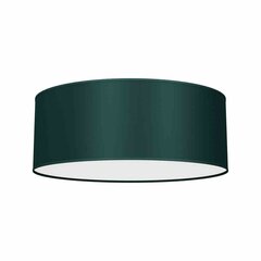 Потолочный светильник Milagro Verde Green цена и информация | Потолочные светильники | 220.lv