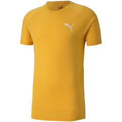 Vīriešu T-krekls Puma Evostripe Lite Tee dzeltens 581534 25 cena un informācija | Vīriešu T-krekli | 220.lv