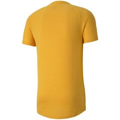 Vīriešu T-krekls Puma Evostripe Lite Tee dzeltens 581534 25 цена и информация | Мужские футболки | 220.lv