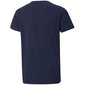 Bērnu T-krekls Puma ESS Logo Tee 586960 06, zils цена и информация | Zēnu krekli | 220.lv