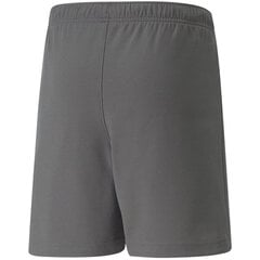 Šorti zēniem Puma TeamRise Short Jr 704943 13, pelēks цена и информация | Zēnu šorti | 220.lv