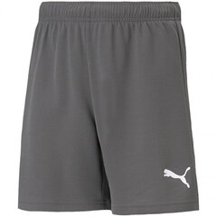 Шорты для мальчиков Puma TeamRise Short Jr 704943 13, серый цена и информация | Шорты для мальчиков | 220.lv