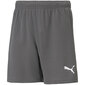 Šorti zēniem Puma TeamRise Short Jr 704943 13, pelēks cena un informācija | Zēnu šorti | 220.lv