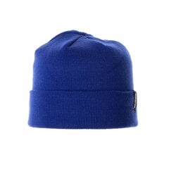 Детская шапка Huppa Ever 94450000*70035, синяя 4741632130999 цена и информация | Шапки, перчатки, шарфы для мальчиков | 220.lv