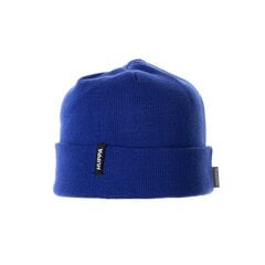 Детская шапка Huppa Ever 94450000*70035, синяя 4741632130999 цена и информация | Шапки, перчатки, шарфы для мальчиков | 220.lv