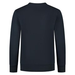 Džemperis champion legacy crewneck sweatshirt 305905bs501 305905BS501 cena un informācija | Zēnu jakas, džemperi, žaketes, vestes | 220.lv