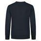 Džemperis champion legacy crewneck sweatshirt 305905bs501 305905BS501 cena un informācija | Zēnu jakas, džemperi, žaketes, vestes | 220.lv