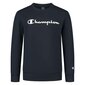Džemperis champion legacy crewneck sweatshirt 305905bs501 305905BS501 цена и информация | Zēnu jakas, džemperi, žaketes, vestes | 220.lv