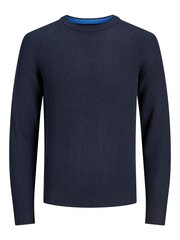 JACK & JONES džemperis jauniešiem , tumši zils cena un informācija | Zēnu jakas, džemperi, žaketes, vestes | 220.lv